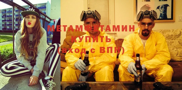 шишки Кодинск