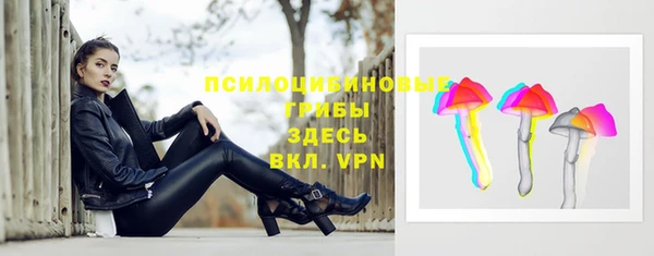 метамфетамин Козловка