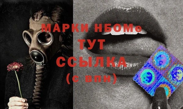 шишки Кодинск