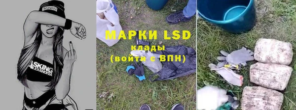 шишки Кодинск