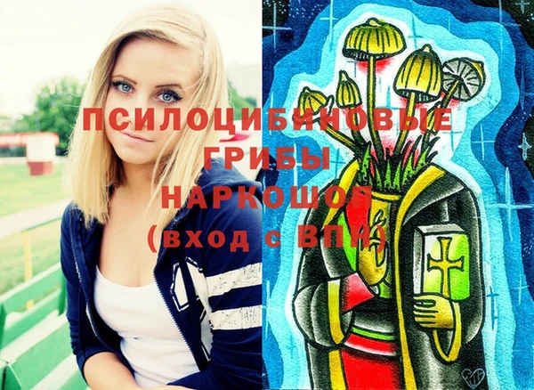 шишки Кодинск