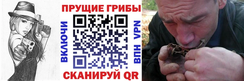 Купить закладки  Артёмовский  Псилоцибиновые грибы GOLDEN TEACHER 