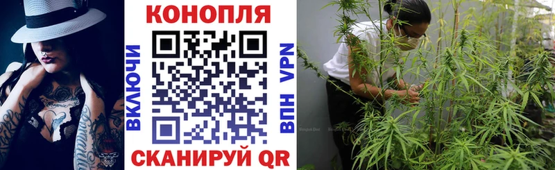 Купить где  Артёмовский  Шишки марихуана MAZAR 